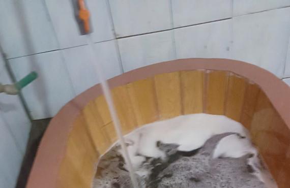 Bài thuốc tắm của Người Dao Quế Lâm