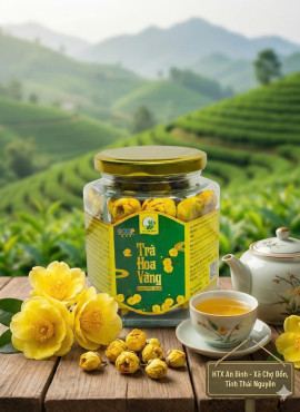 Trà hoa vàng An Bình