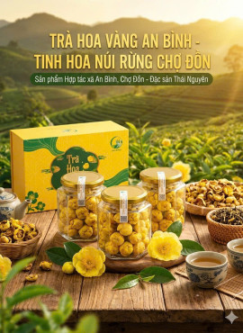 Trà hoa vàng An Bình