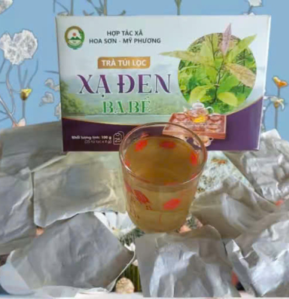 Quy trình sản xuất Trà túi lọc Xạ đen Ba Bể