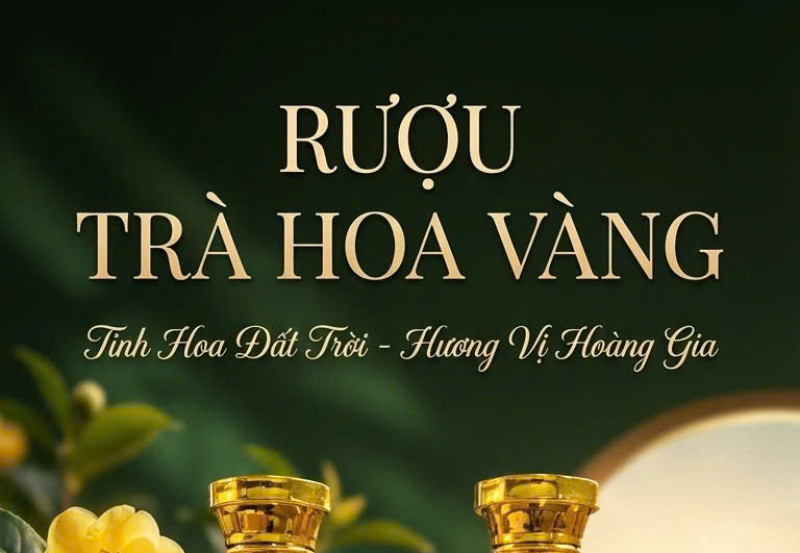 Rượu Trà Hoa Vàng – Hương Vị Độc Bản Nơi Đại Ngàn