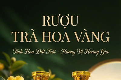 Rượu Trà Hoa Vàng – Hương Vị Độc Bản Nơi Đại Ngàn
