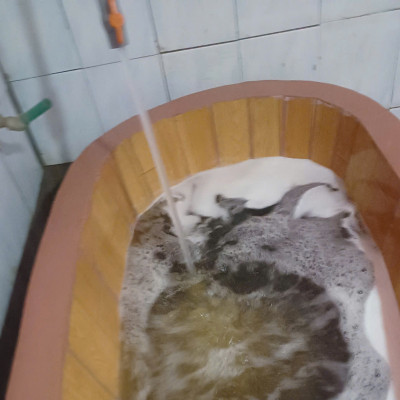 Bài thuốc tắm của Người Dao Quế Lâm