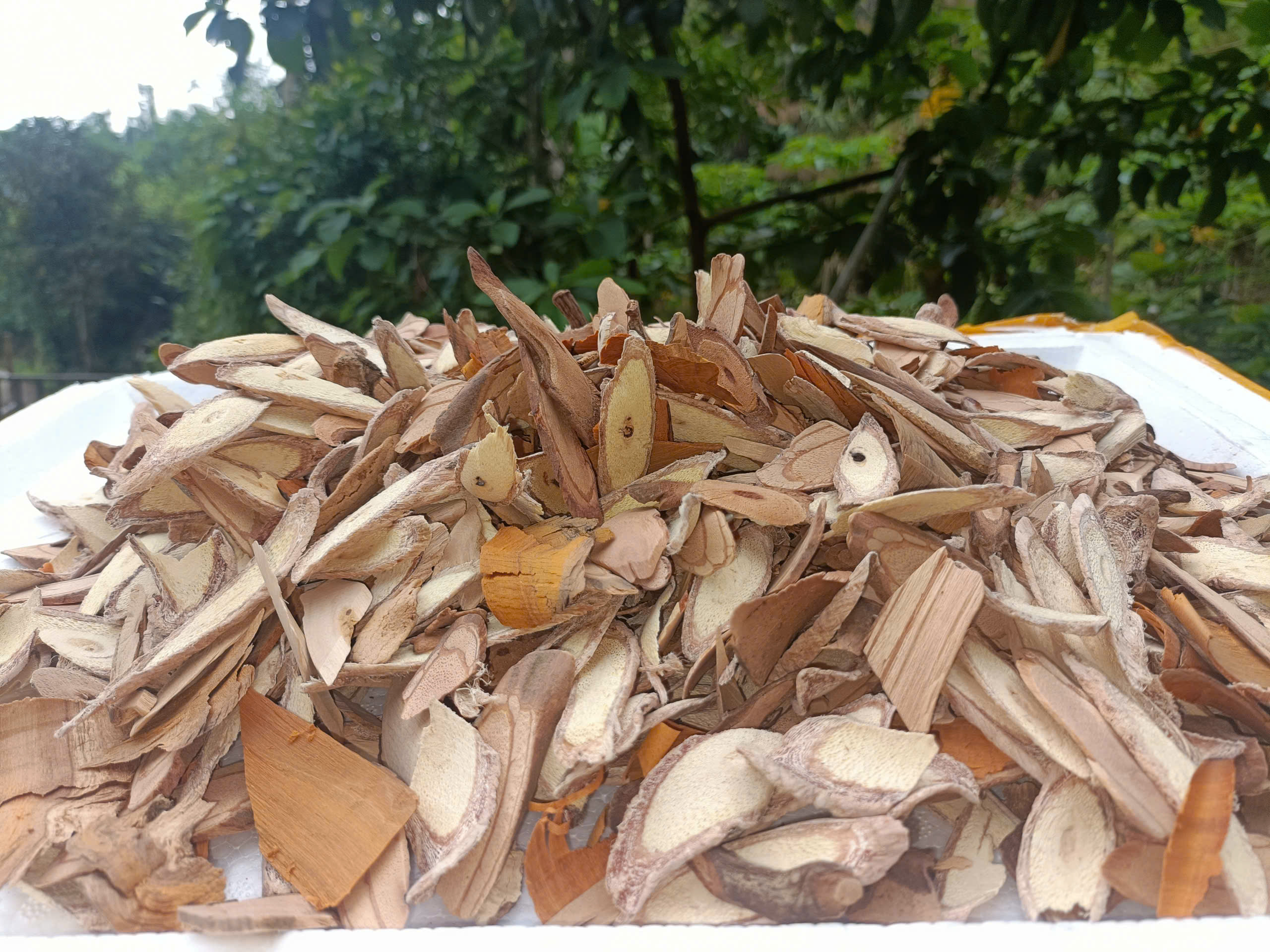 Hoa sơn Mỹ Phương