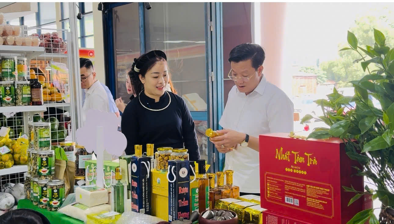 Trà hoa vàng An Bình