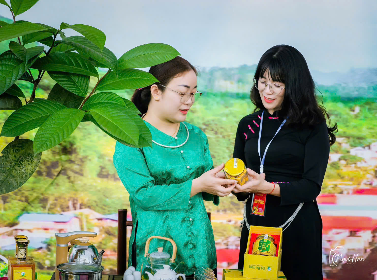 Trà hoa vàng túi lọc An Bình