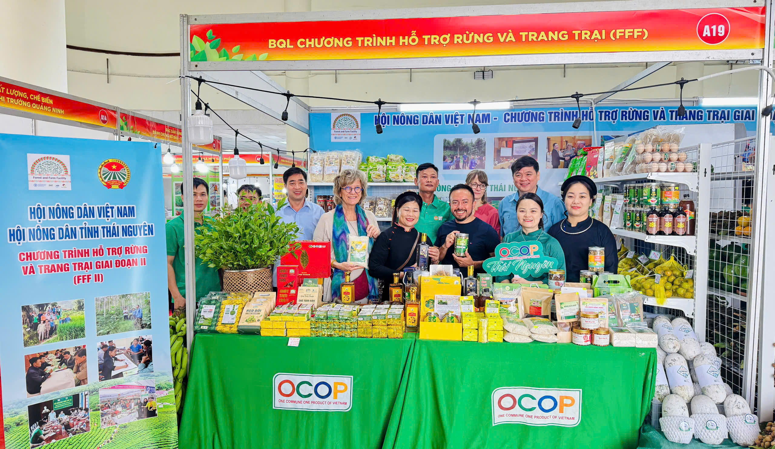 Trà hoa vàng túi lọc An Bình