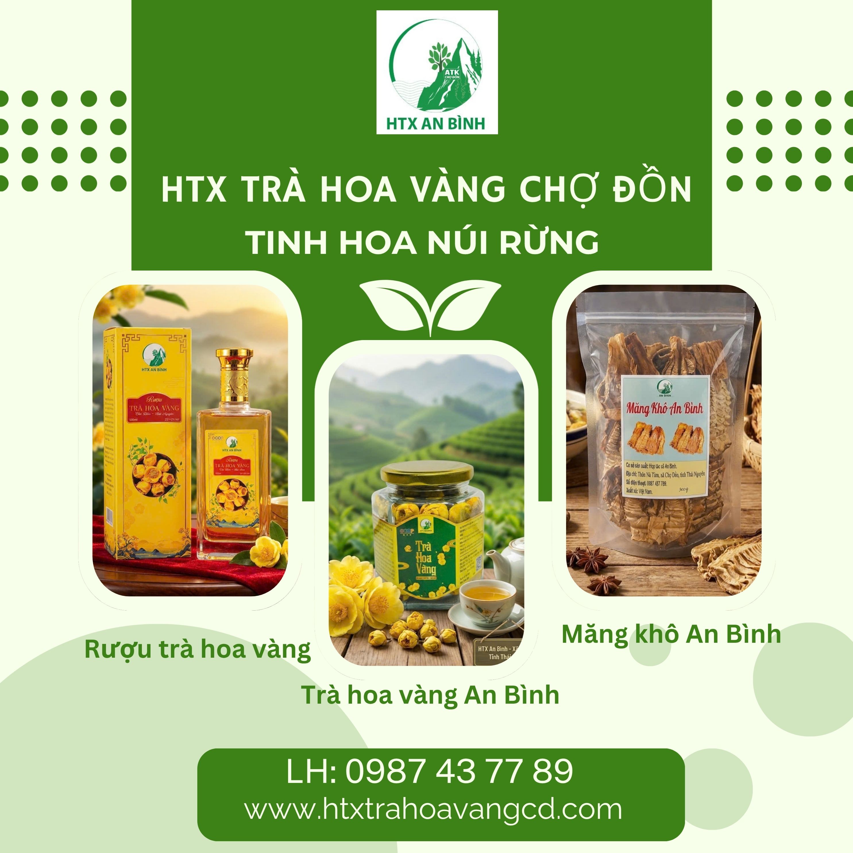 Trà hoa vàng An Bình
