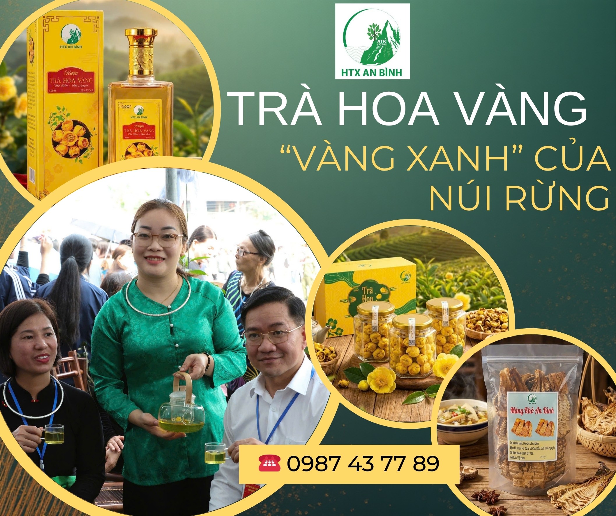 Trà hoa vàng An Bình