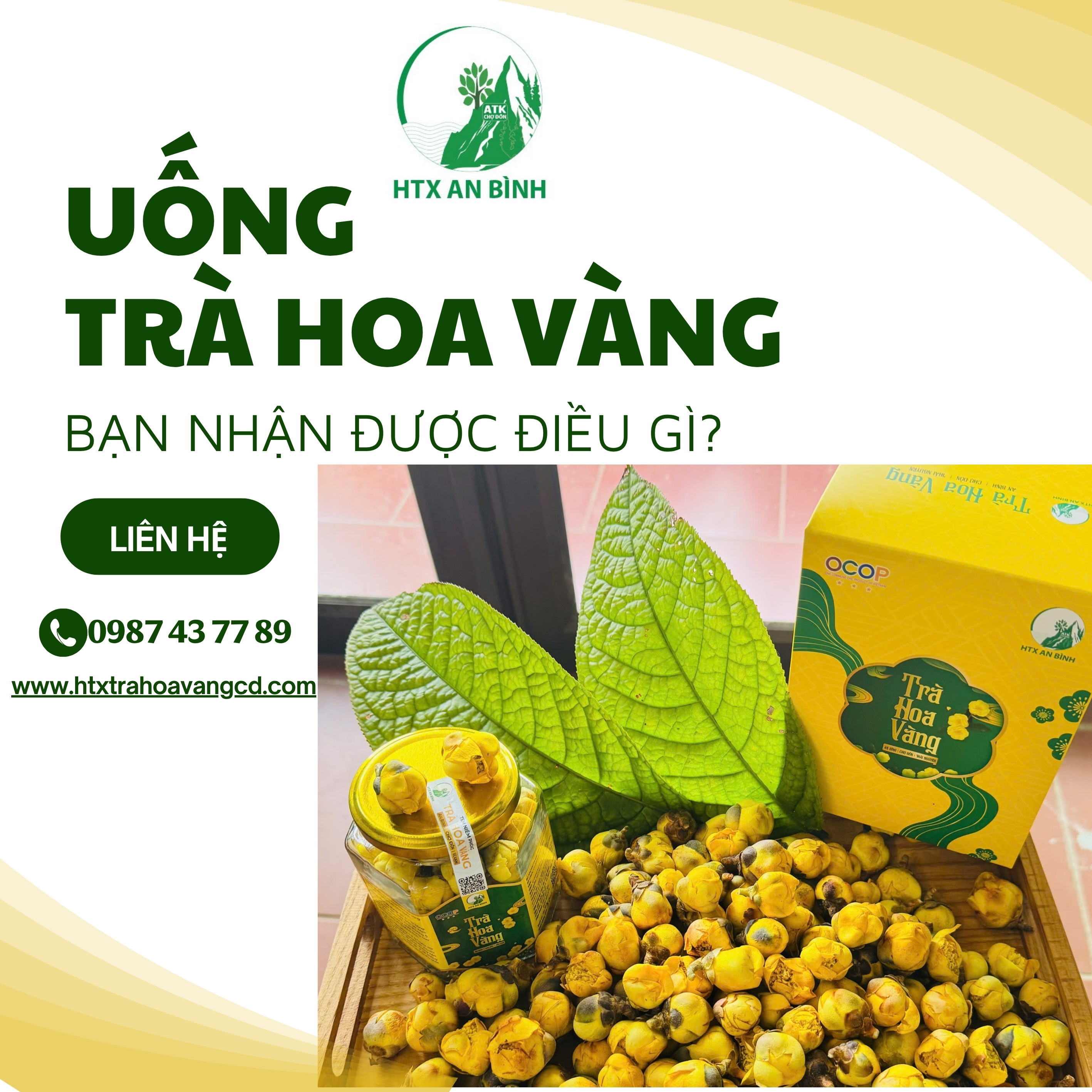 Trà hoa vàng An Bình