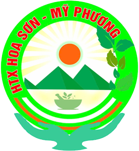 Các mạng lưới liên kết