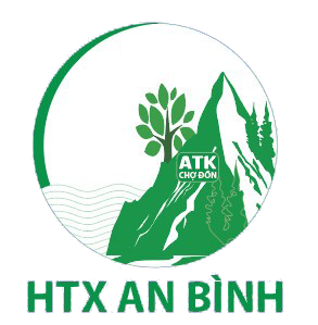 Các mạng lưới liên kết